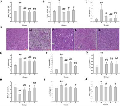 Multi-Omics Reveals Inhibitory Effect of Baicalein on Non-Alcoholic Fatty Liver Disease in Mice